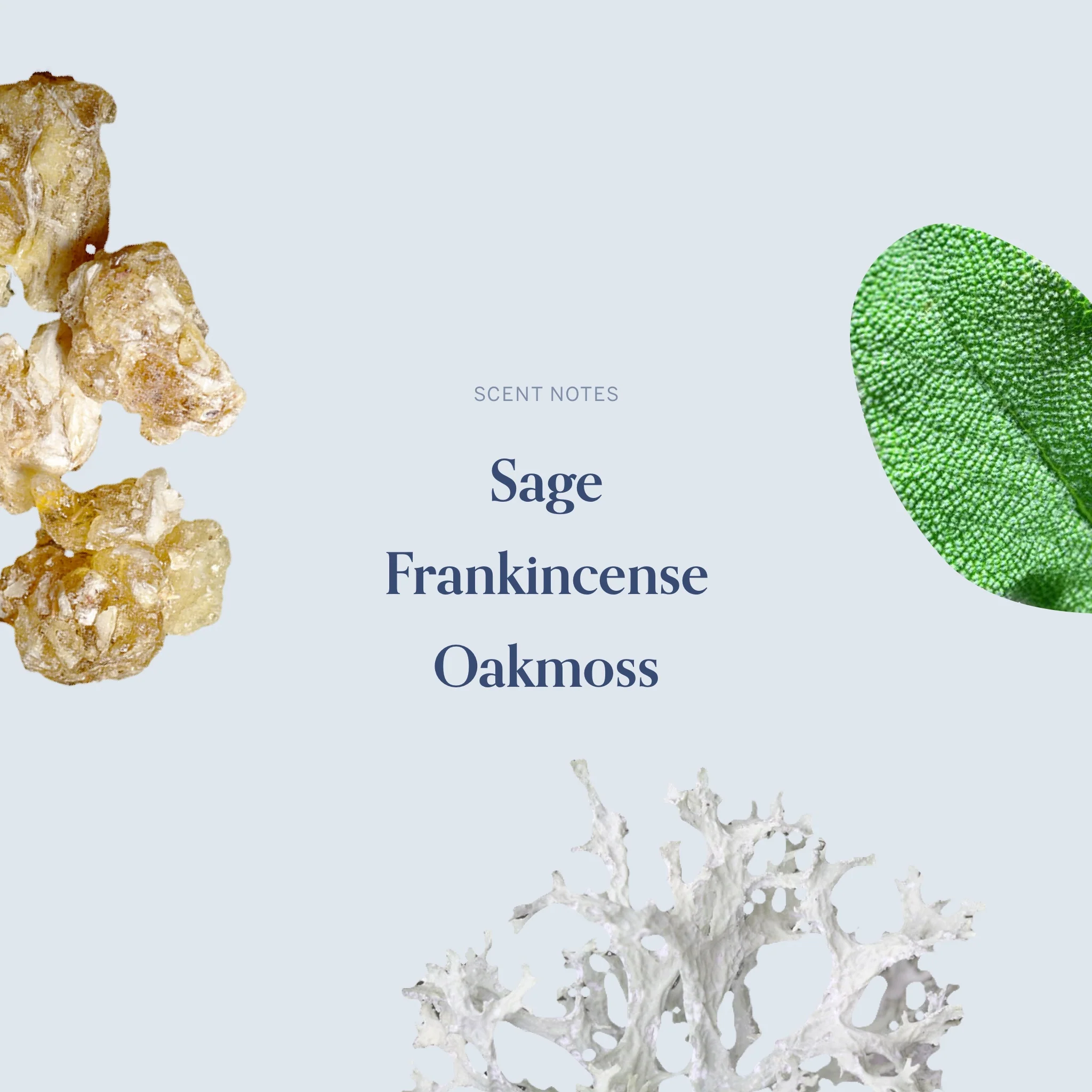 The December Twenty-Eighth Candle - Image 4