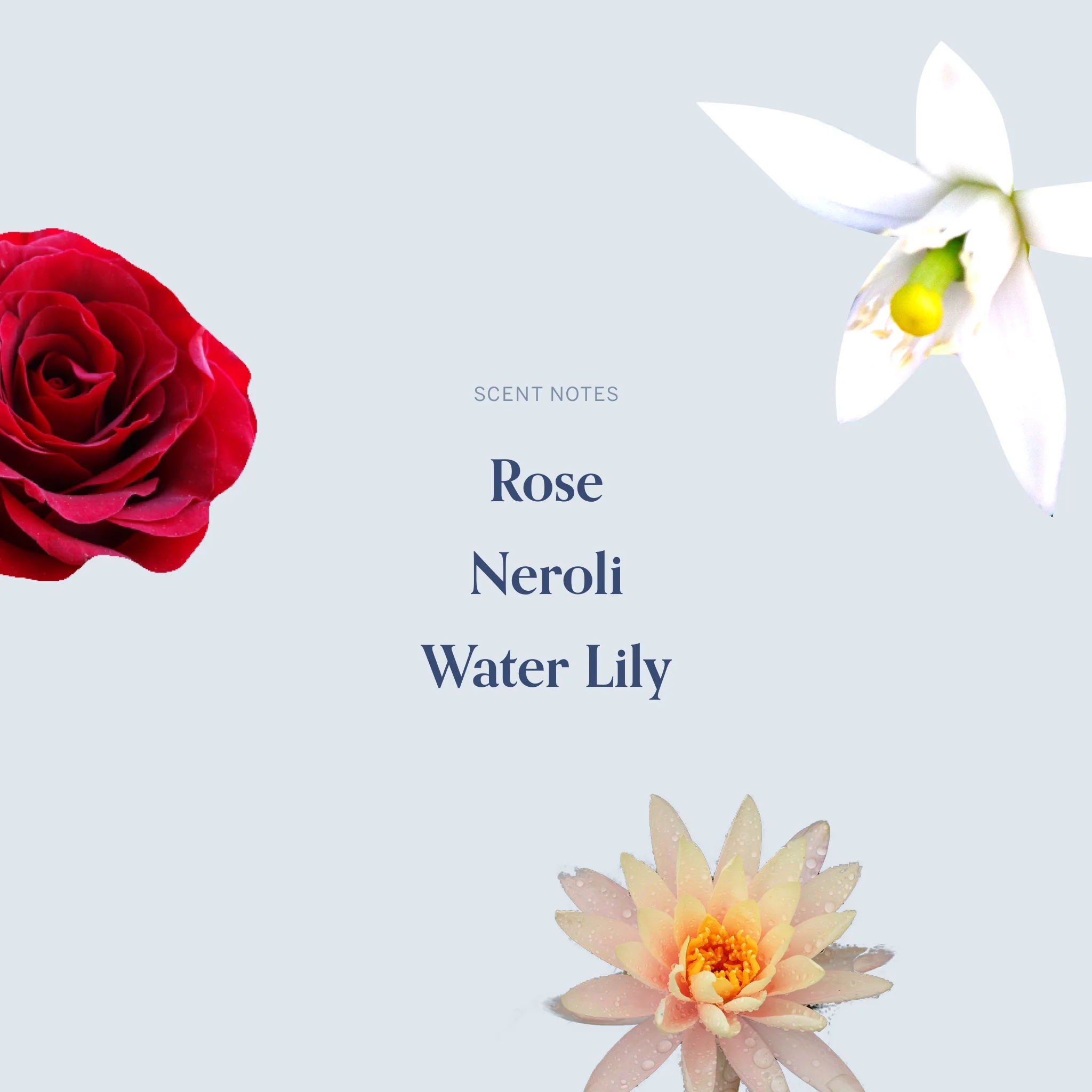 The December Twenty-First Candle - Image 4