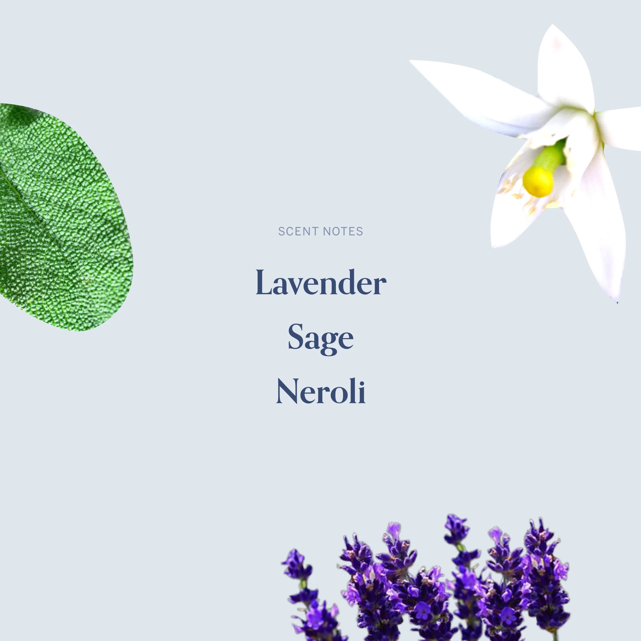 The February Seventeenth Candle - Image 4