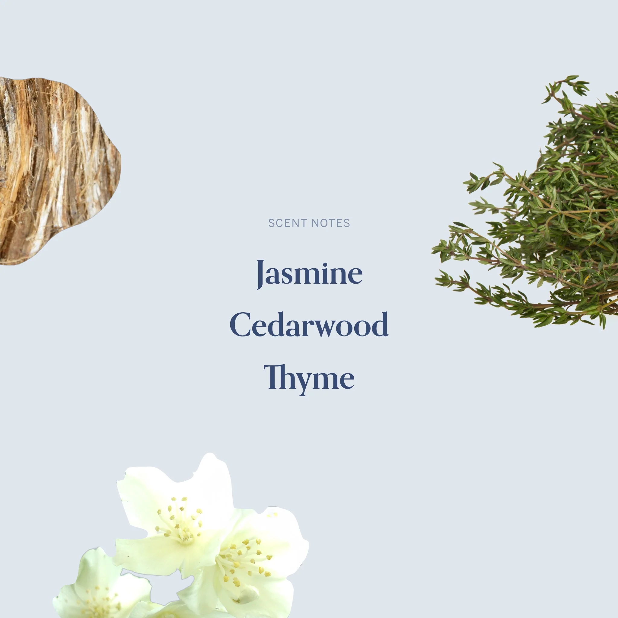 The February Twenty-Ninth Candle - Image 4